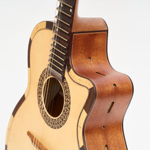 Vietnamese Guitar / Traditional Acoustic